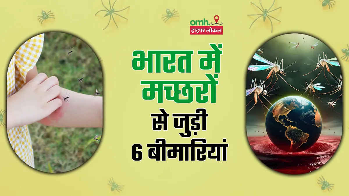 भारत में मच्छरों से जुड़ी ये 6 बीमारियां है ज्यादा खतरनाक, जानें डॉक्टर से