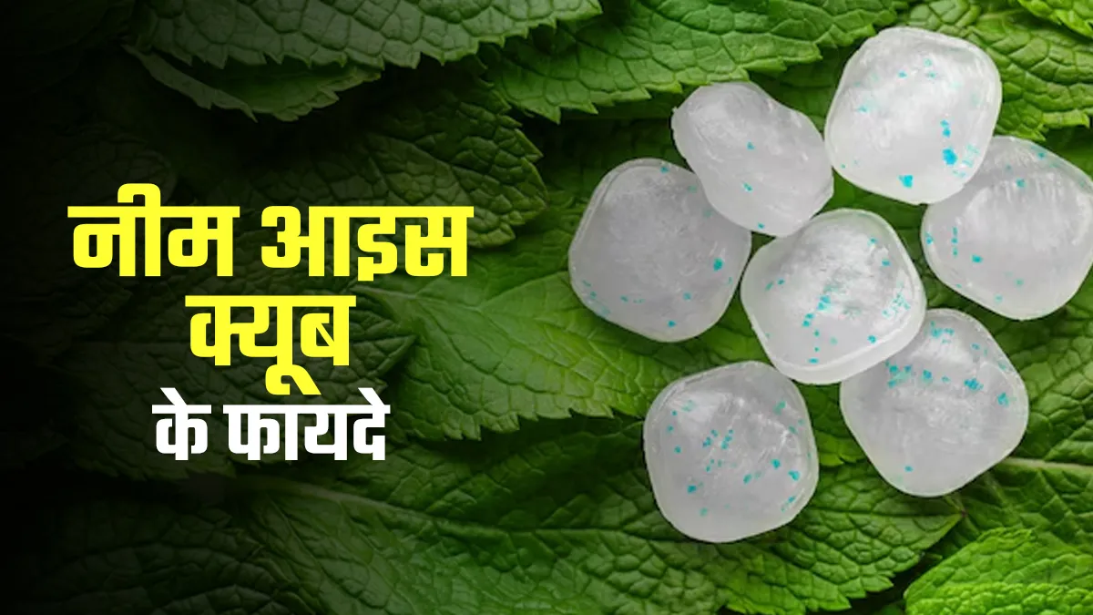घमौरियां हो या दाने, बरसात के मौसम में घर पर बनाकर लगाएं नीम आइस क्यूब, जानें इस्तेमाल के खास फायदे
