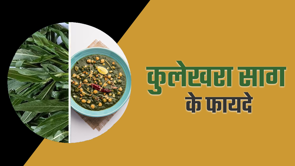 वजन घटाने से लेकर फैटी लिवर तक में फायदेमंद है कुलेखरा साग, एक्सपर्ट ने बताया क्यों करें इसका सेवन