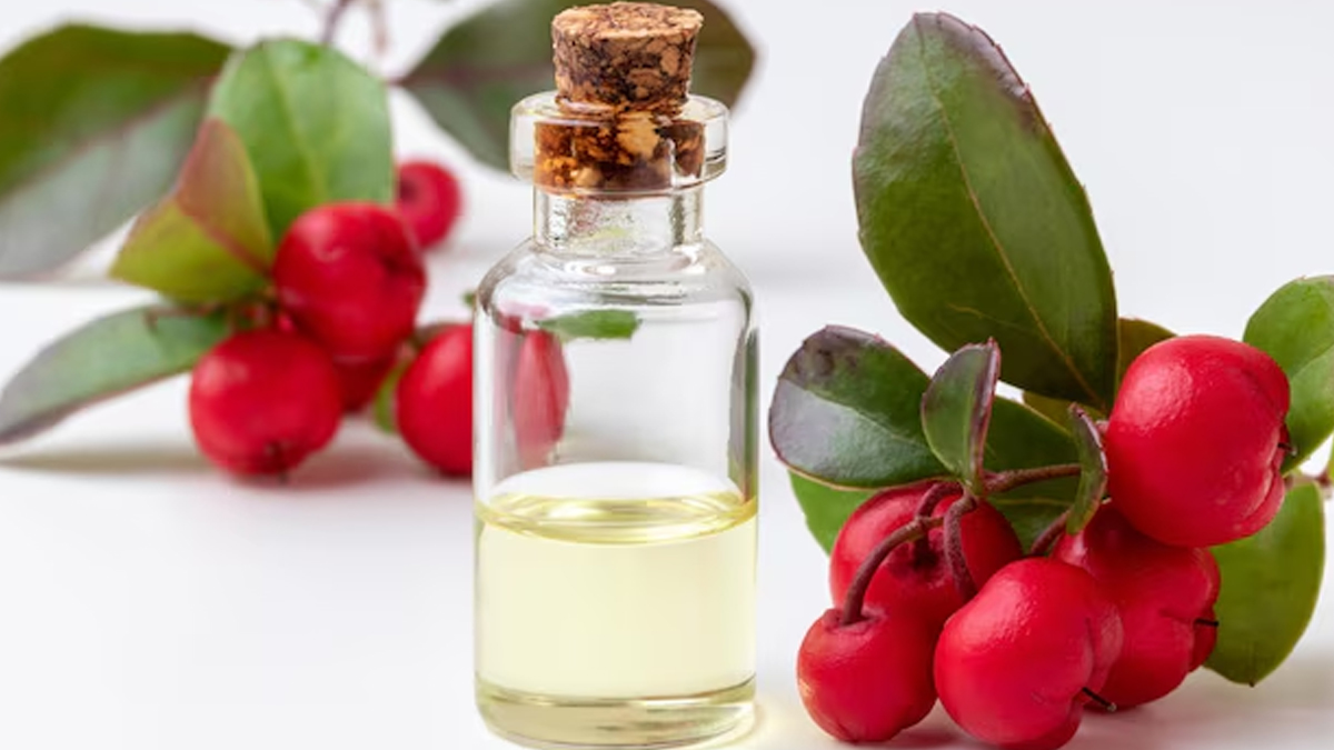 rosehip oil benefits for acne prone skin in