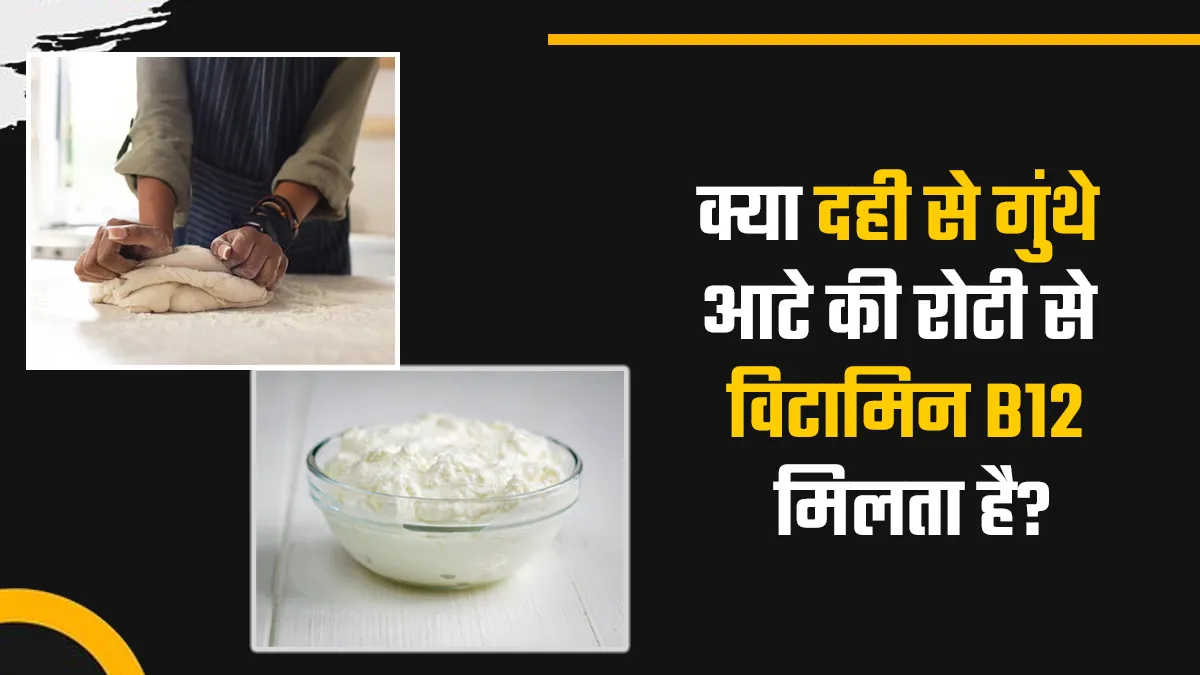 क्या सच में दही से गुंथे आटे की रोटी खाने से विटामिन B12 मिलता है? डॉक्टर से जानें वायरल दावे की सच्चाई
