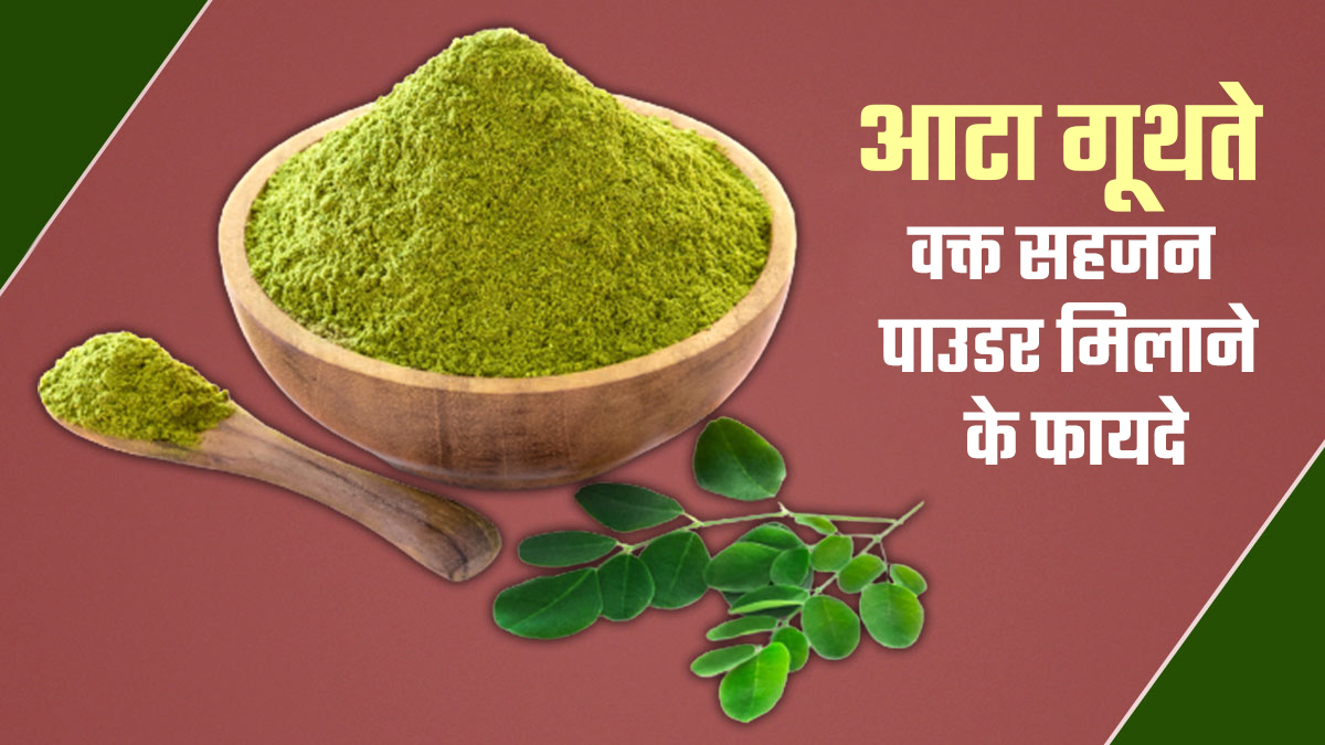 आटा गूथते वक्त मिलाएं जरा-सा सहजन पाउडर, सेहत को मिलेंगे कई फायदे