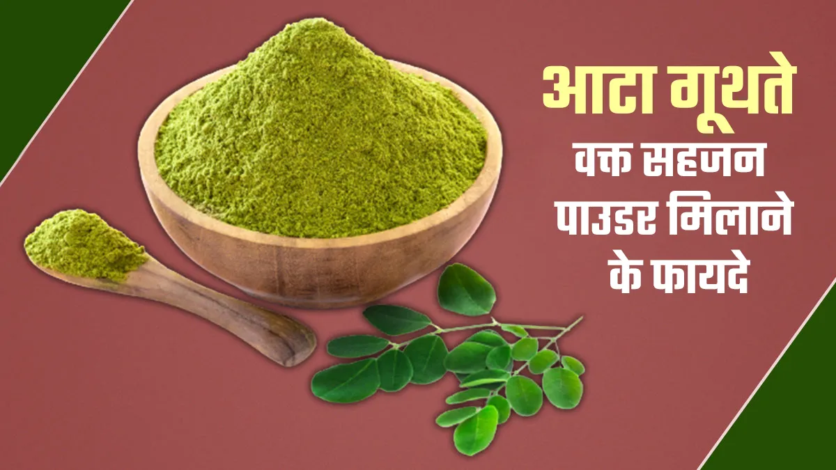 आटा गूथते वक्त मिलाएं जरा-सा सहजन पाउडर, सेहत को मिलेंगे कई फायदे
