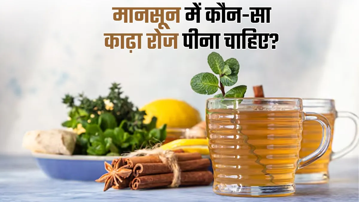 मानसून में कौन-सा काढ़ा रोज पीना चाहिए? जानें आयुर्वेदाचार्य से
