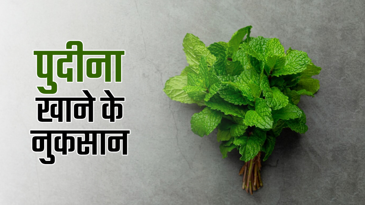 हमेशा फायदेमंद नहीं होती पुदीने की पत्तियां, कहीं इग्नोर तो नहीं कर रहे आप ये 7 नुकसान?

