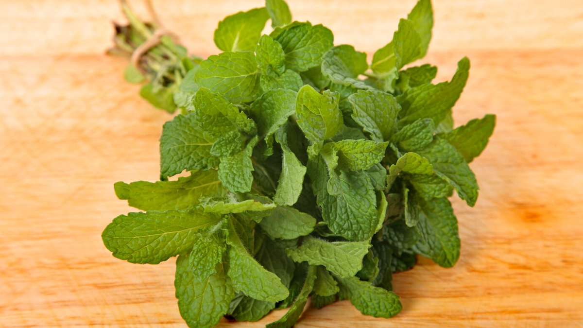 side effects of mint leaves in hindi 01 (5)