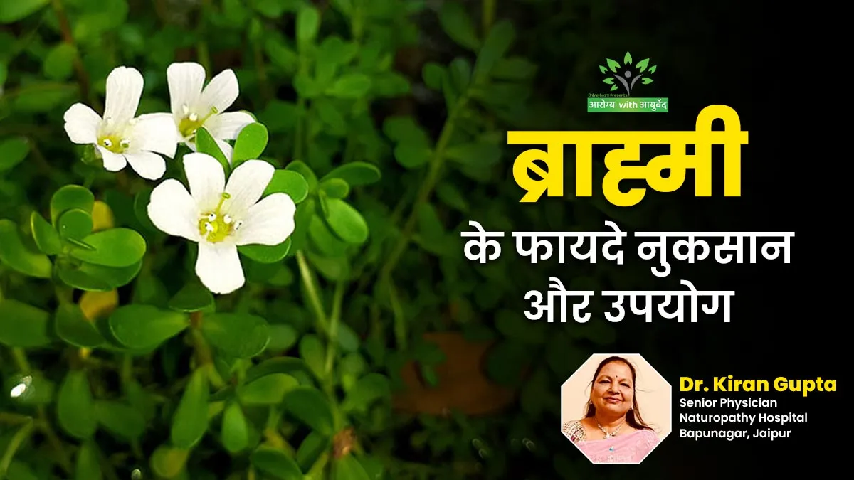 लिवर से लेकर ब्रेन तक के लिए फायदेमंद है ब्राह्मी, जानें इसके फायदे, नुकसान और सेवन का तरीका