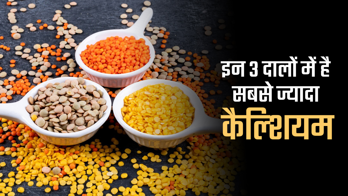 खाने की थाली में होगी ये 3 दाल तो नहीं होगी शरीर में कैल्शियम की कमी, एक्सपर्ट से जानें क्यों हैं फायदेमंद?