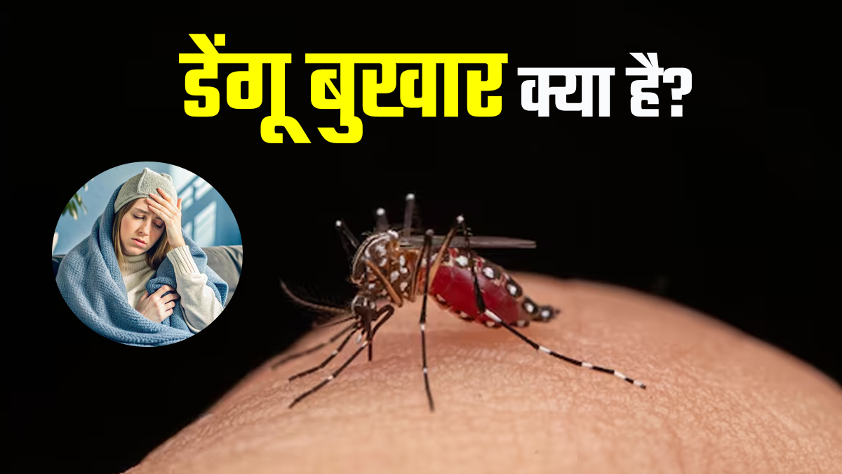 डेंगू के कारण, लक्षण और इलाज: जानें डेंगू बुखार से कैसे बचें?