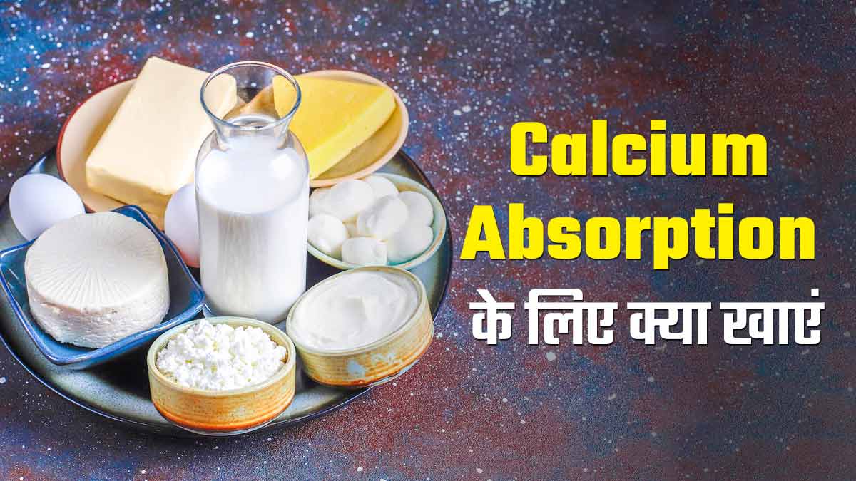 Calcium Absorption के लिए खाएं ये 5 तरह की चीजें, हड्डियां होंगी मजबूत