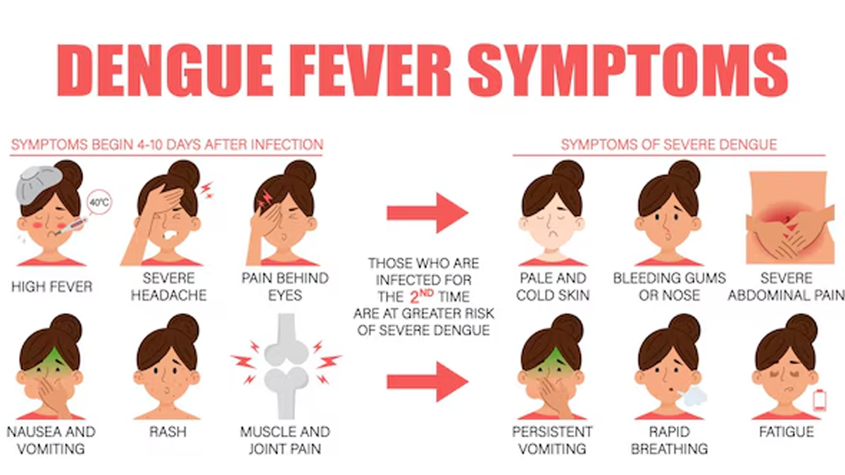 dengue-fever-symptoms