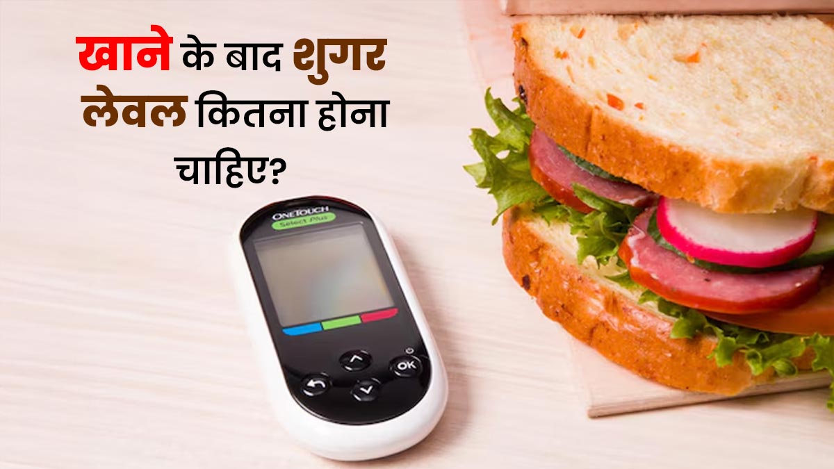 Khane Ke Baad Sugar Kitna Hona Chahiye: खाना खाने के बाद शुगर लेवल क‍ितना होना चाह‍िए? डॉक्‍टर से जानें
