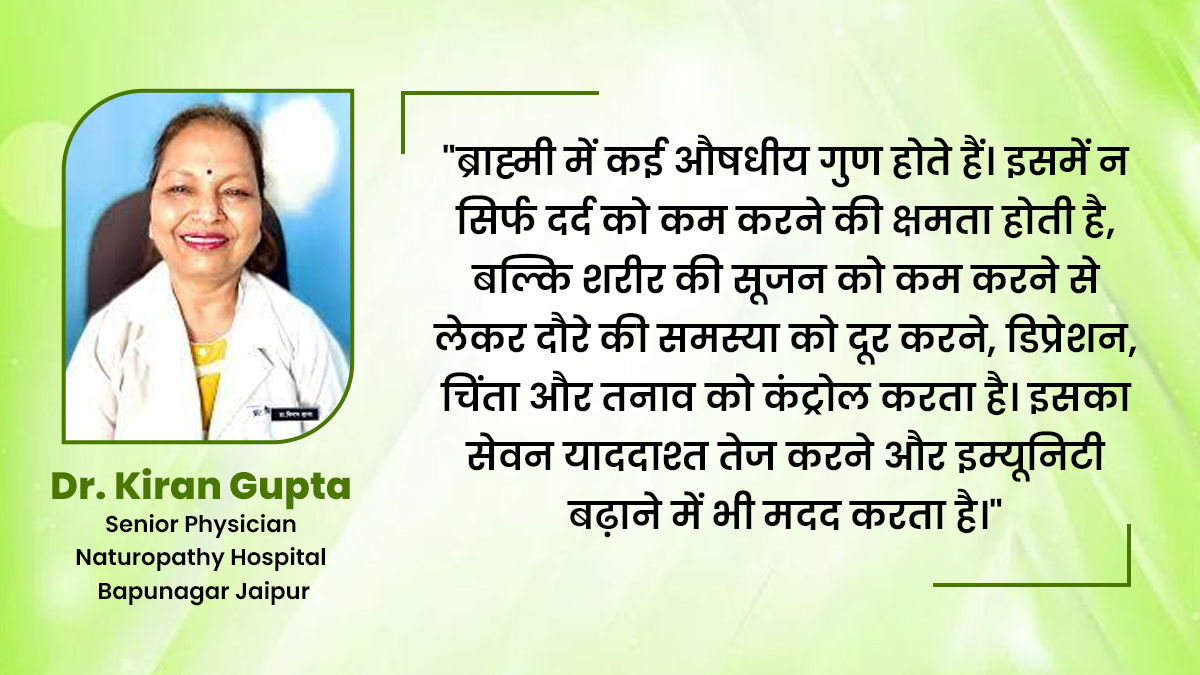 Brahmi Ke Fayde Or Nuksan 1