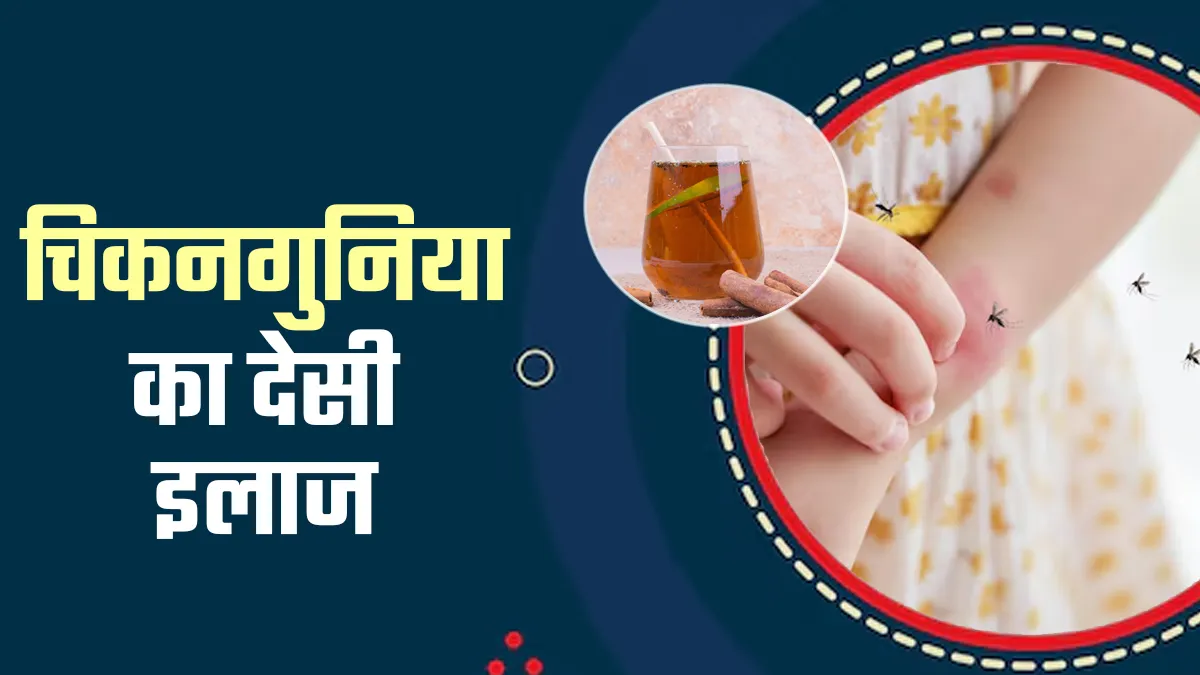 चिकनगुनिया में पिएं अर्जुन की छाल का काढ़ा, खुद आयुर्वेदाचार्य से जानें क्यों है ये कारगर घरेलू उपचार