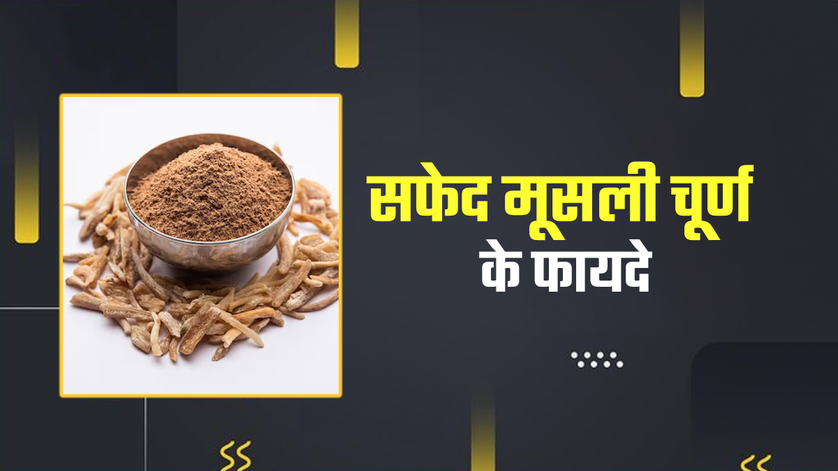 सफेद मूसली चूर्ण के फायदे: थकान, कमजोरी और यौन स्वास्थ्य के लिए असरदार आयुर्वेदिक जड़ी-बूटी