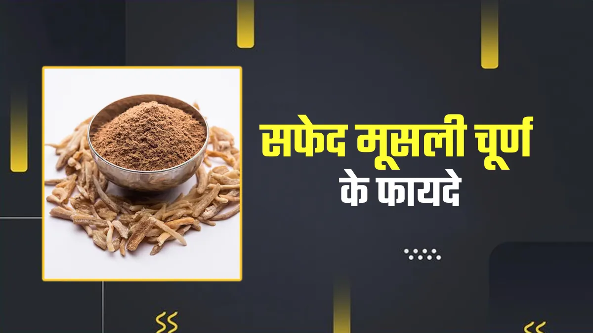 सफेद मूसली चूर्ण के फायदे: थकान, कमजोरी और यौन स्वास्थ्य के लिए असरदार आयुर्वेदिक जड़ी-बूटी