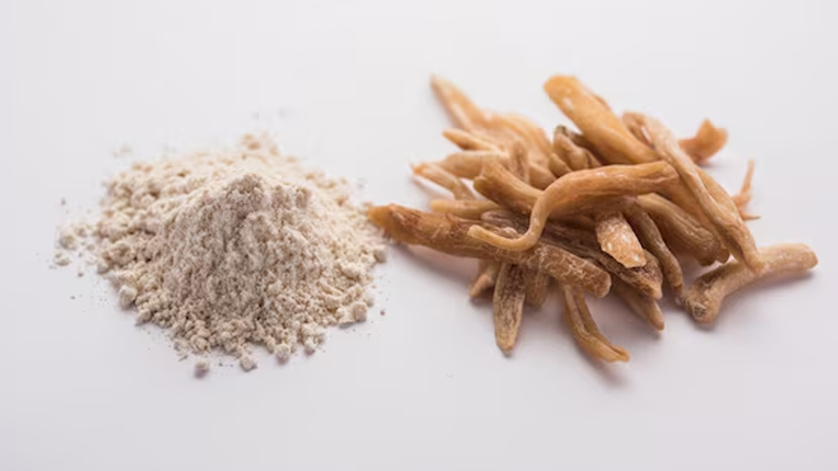 safed-musli-churna-inside