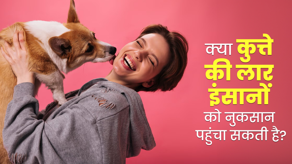क्या कुत्ते के चाटने से आपकी सेहत को पहुंच सकता है नुकसान? जानें डॉक्टर से