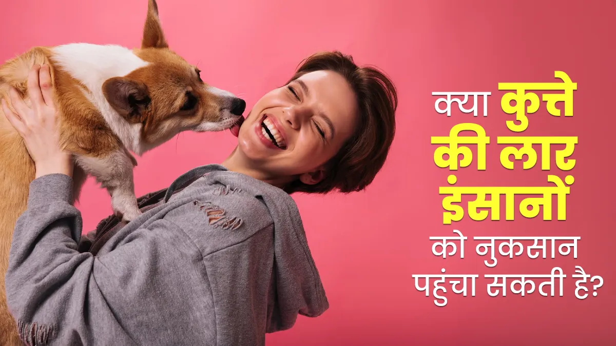 क्या कुत्ते के चाटने से आपकी सेहत को पहुंच सकता है नुकसान? जानें डॉक्टर से