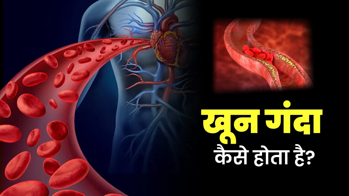 शरीर का खून गंदा कैसे होता है? सफाई के लिए उपाय खोजने से पहले डॉक्टर से जानें कारण
