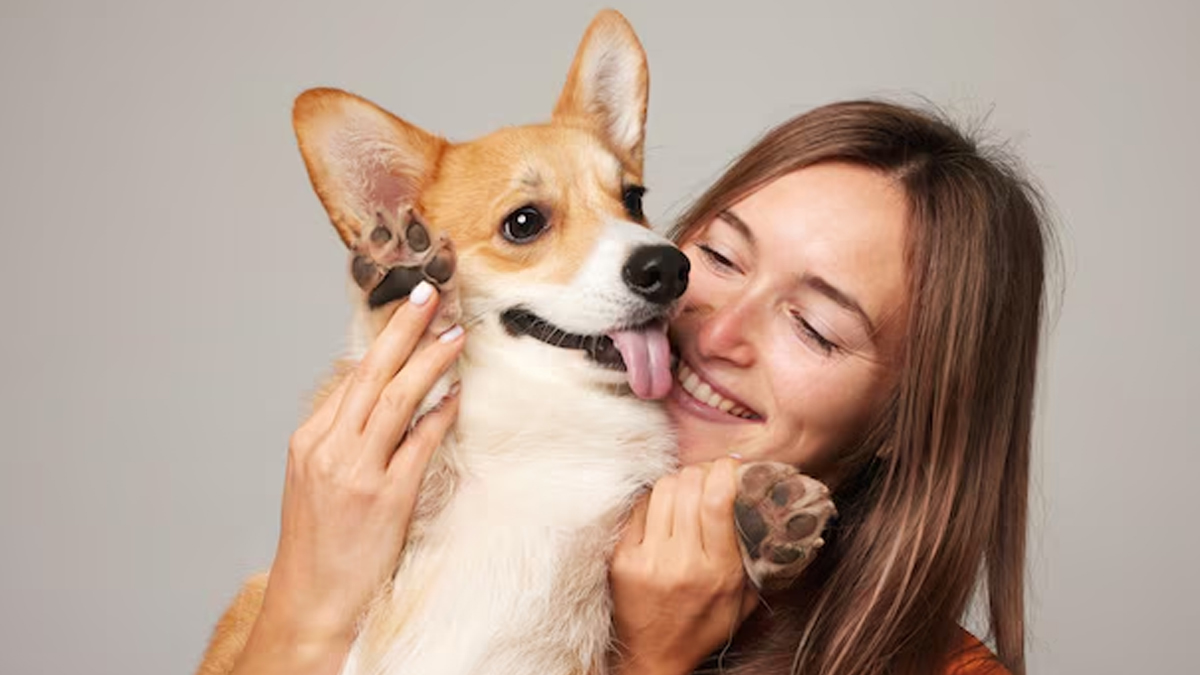 Can a dogs lick harm your health Know from doctor