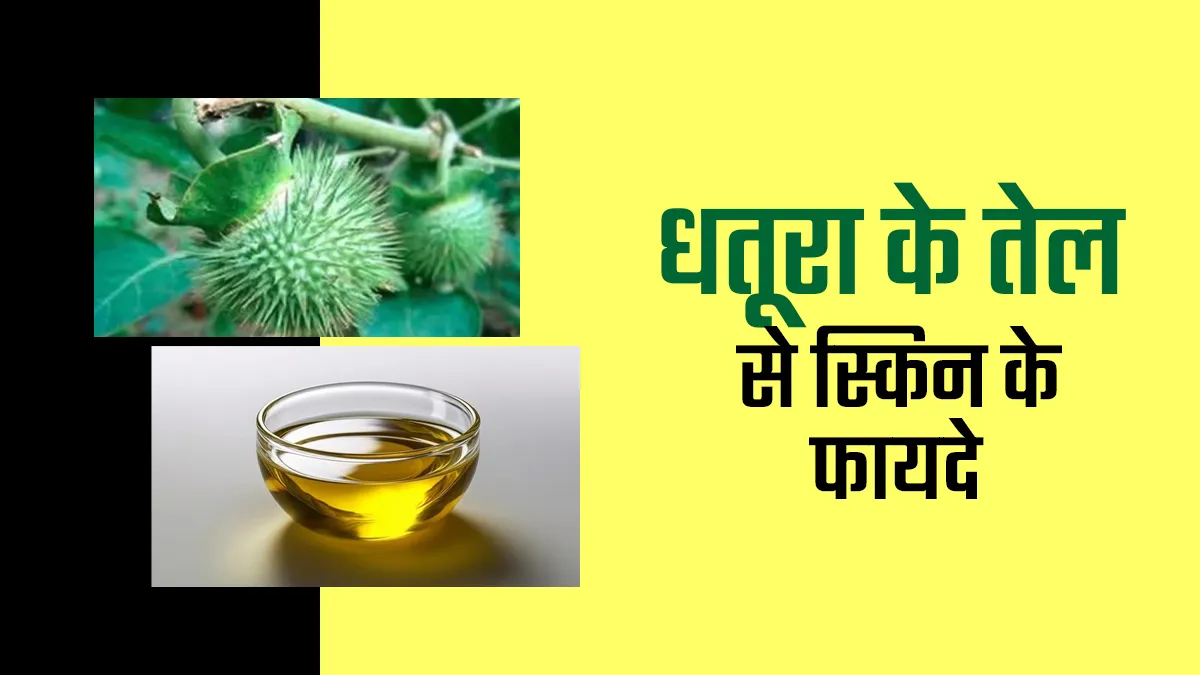 सावन में शिवजी पर चढ़ने वाला धतूरा है त्वचा के लिए फायदेमंद, इन 4 कारणों से लोग इस्तेमाल करते हैं इसका तेल
