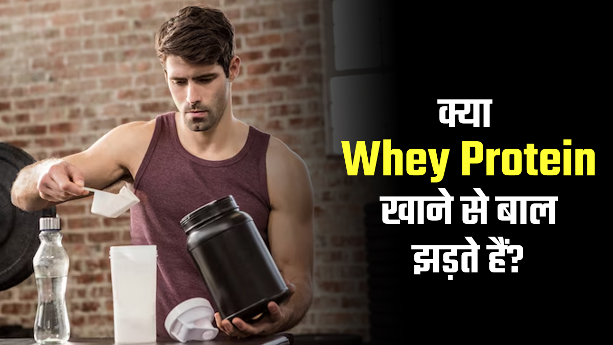 क्या मसल्स बिल्ड करने वाला Whey Protein बाल झड़ने का कारण बनता है? एक्सपर्ट से जानें जवाब