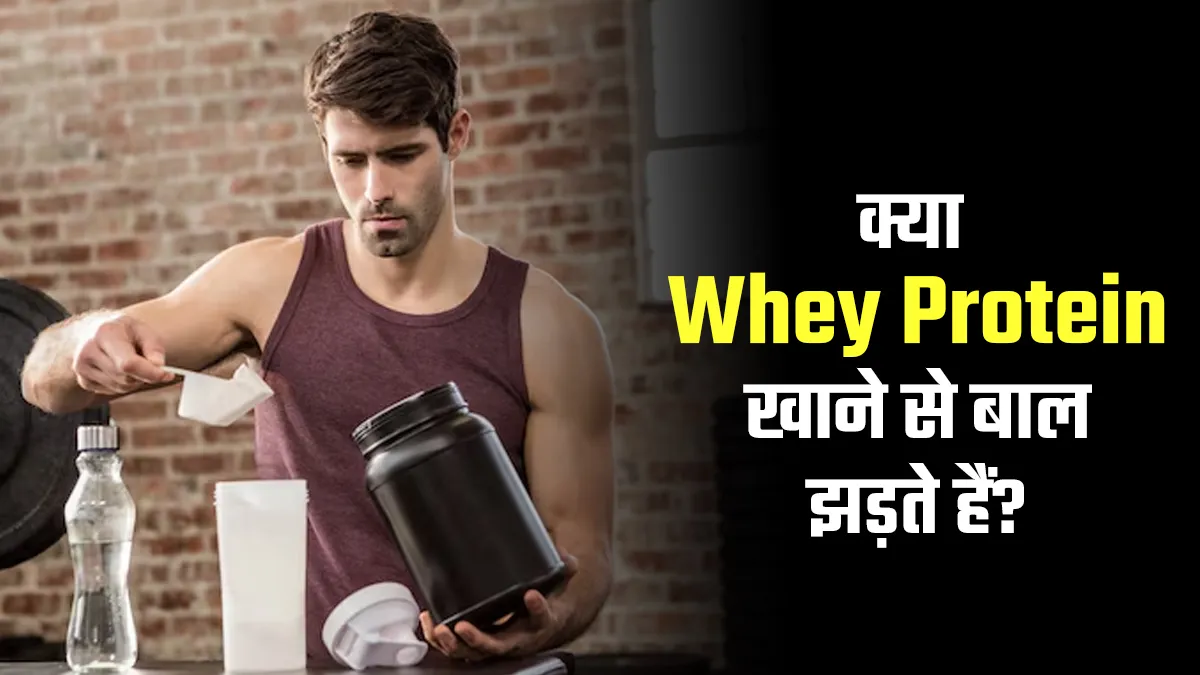 क्या मसल्स बिल्ड करने वाला Whey Protein बाल झड़ने का कारण बनता है? एक्सपर्ट से जानें जवाब