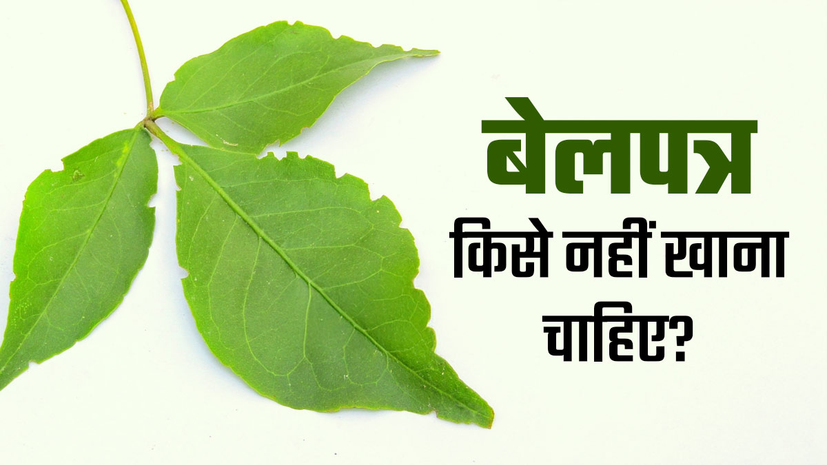 क्या आप भी खाते हैं बेल पत्र? एक्सपर्ट से जान लें किन लोगों के लिए जहर के समान है ये पत्ती