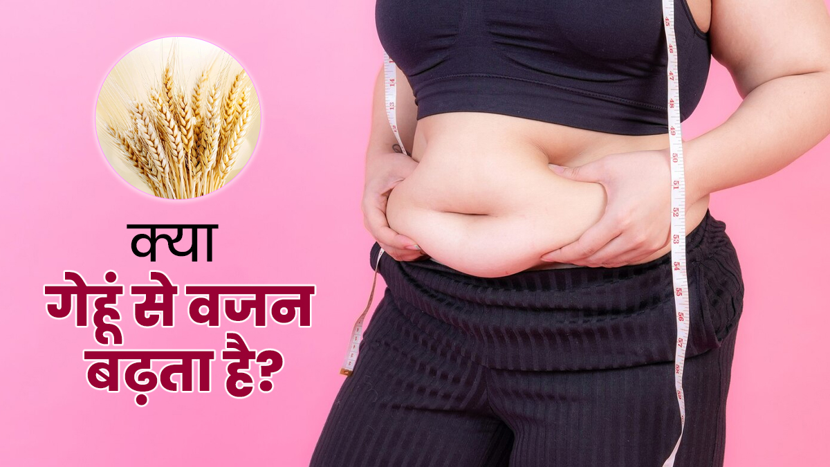 क्या गेहूं से बढ़ता है वजन? एक्सपर्ट से जानें