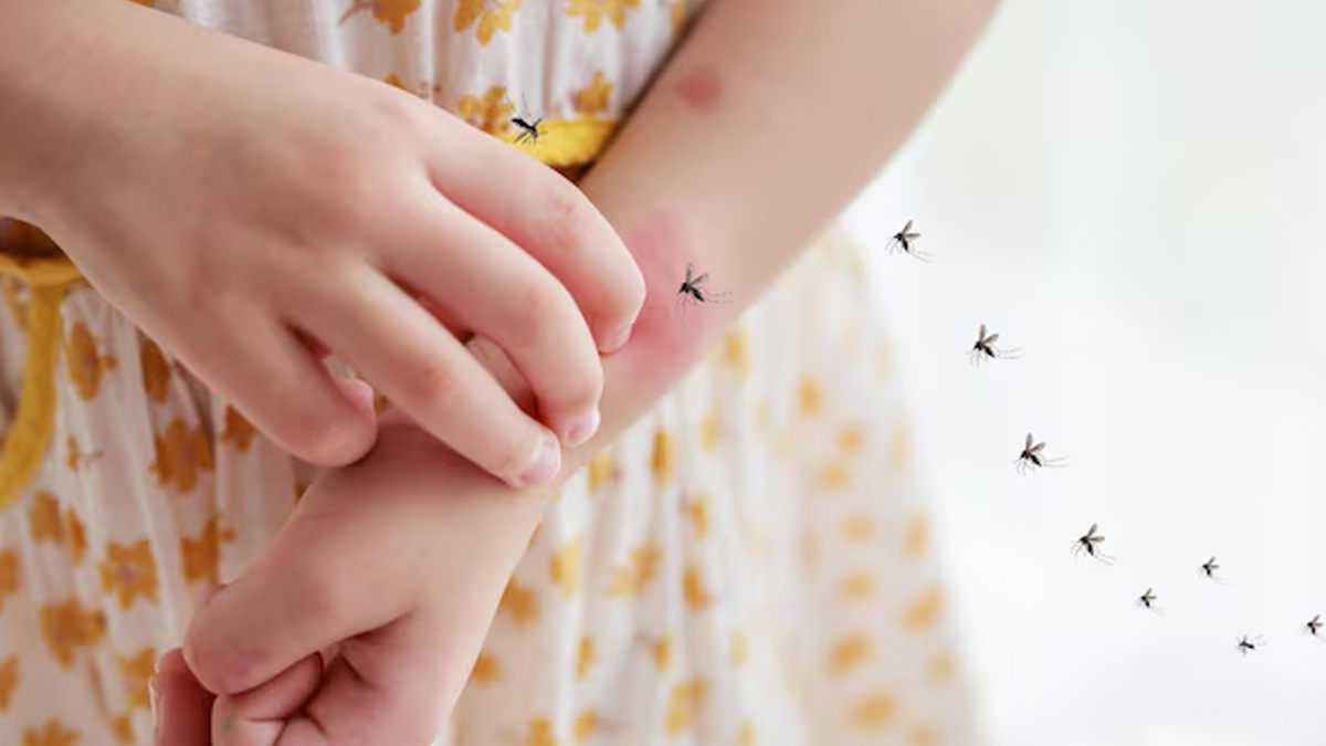 Chikungunya me kahan soye