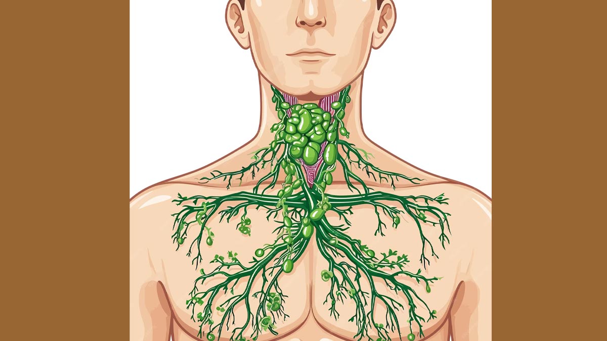 lymph-nodes-mein-sujan