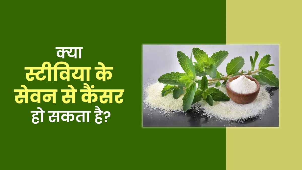 क्या मीठी तुलसी (stevia) के सेवन से कैंसर हो सकता है? जानें डॉक्टर से