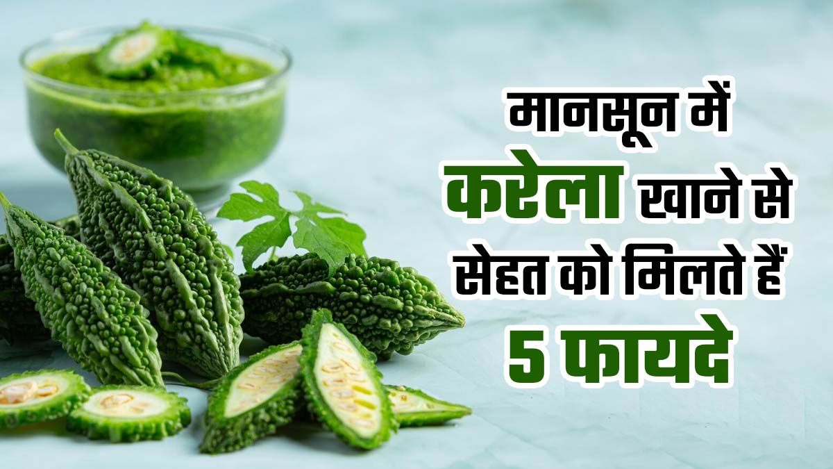 मानसून में करेला खाने से सेहत को मिलते हैं 5 फायदे, एक्सपर्ट से जानते हैं