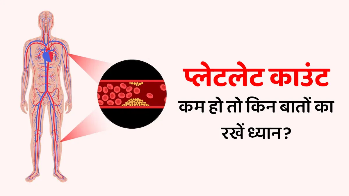 प्लेटलेट्स कम हैं तो इन बातों का खास रखें ध्यान, वरना बढ़ सकता है खतरा