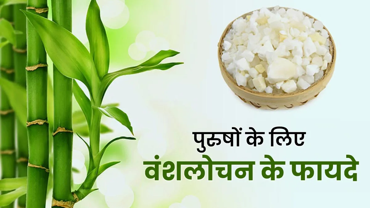 पुरुषों के लिए फायदेमंद है वंशलोचन, आयुर्वेदिक एक्सपर्ट से जानें कैसे करें सेवन