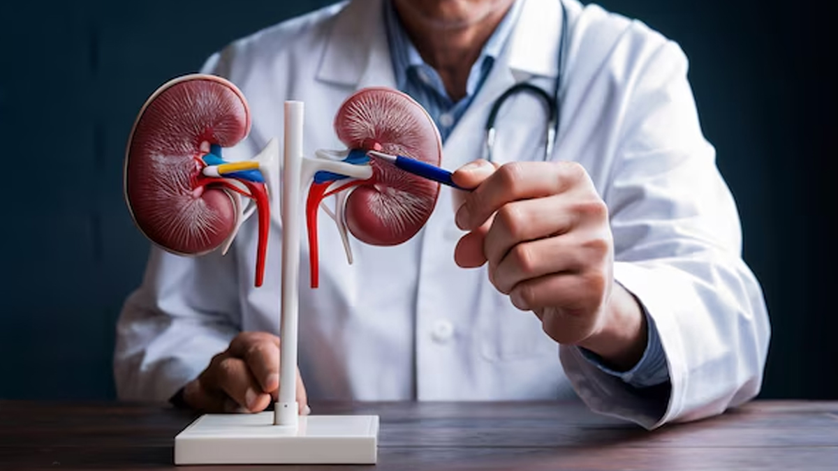 can too much protein cause kidney stones 01 (11)