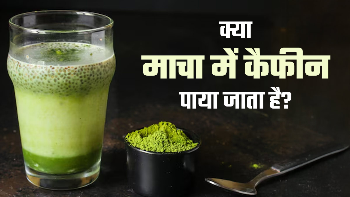 क्या माचा में कैफीन पाया जाता है? जानें एक्सपर्ट से