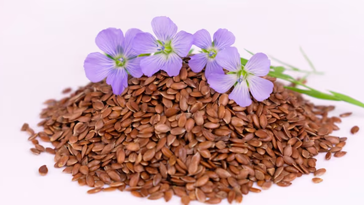 Raw Vs Roasted Flaxseeds