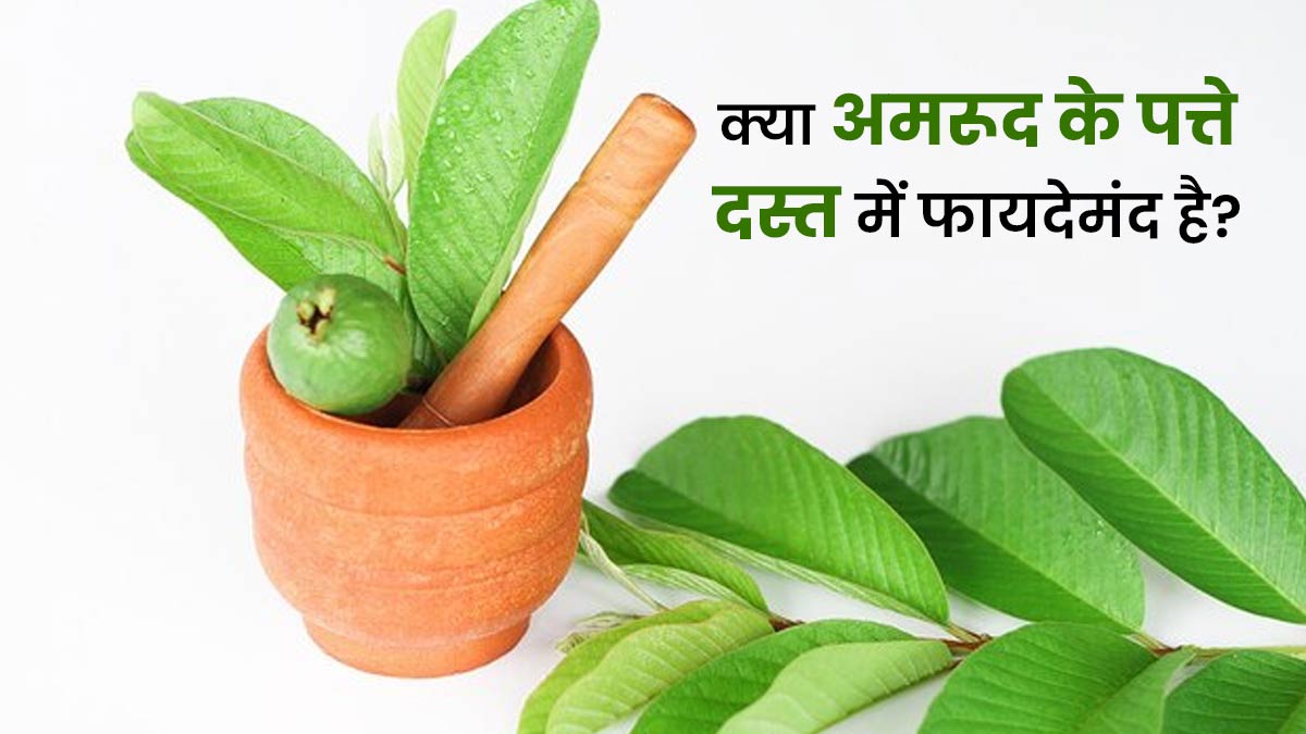 क्या अमरूद का पत्ता दस्त के लिए अच्छा है? एक्सपर्ट से जानें