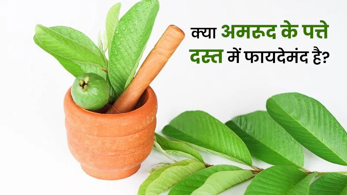क्या अमरूद का पत्ता दस्त के लिए अच्छा है? एक्सपर्ट से जानें