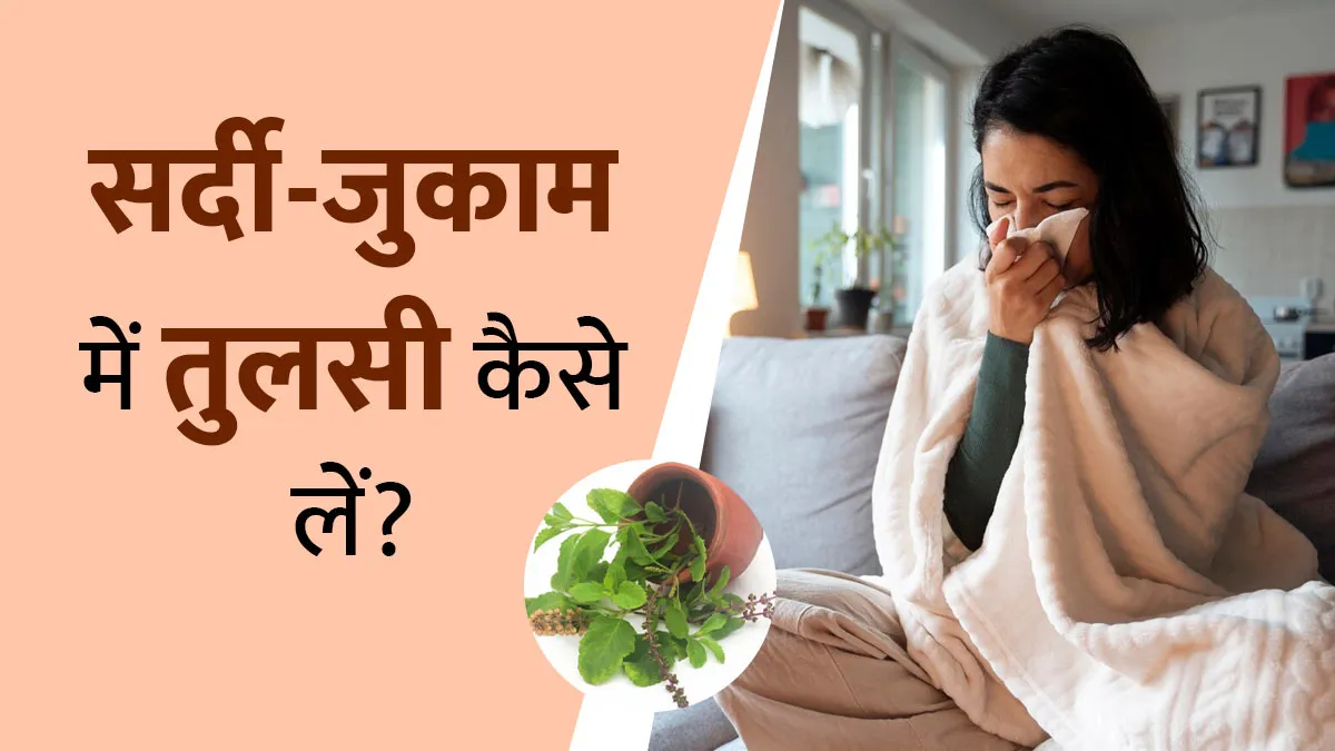 सर्दी-जुकाम को दूर करने में बेहद फायदेमंद है तुलसी, डॉक्टर से जानें इस्तेमाल करने का सही तरीका