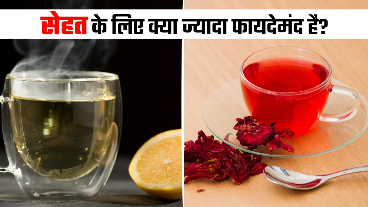 ग्रीन टी या हिबिस्कस टी: सेहत के लिए क्या ज्यादा फायदेमंद है? जानें एक्सपर्ट से