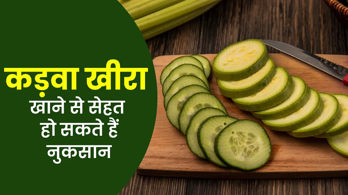 खीरे की कड़वाहट कहीं बन जाए आपके लिए जहर! डॉक्टर से जानें कड़वा खीरा खाने के नुकसान