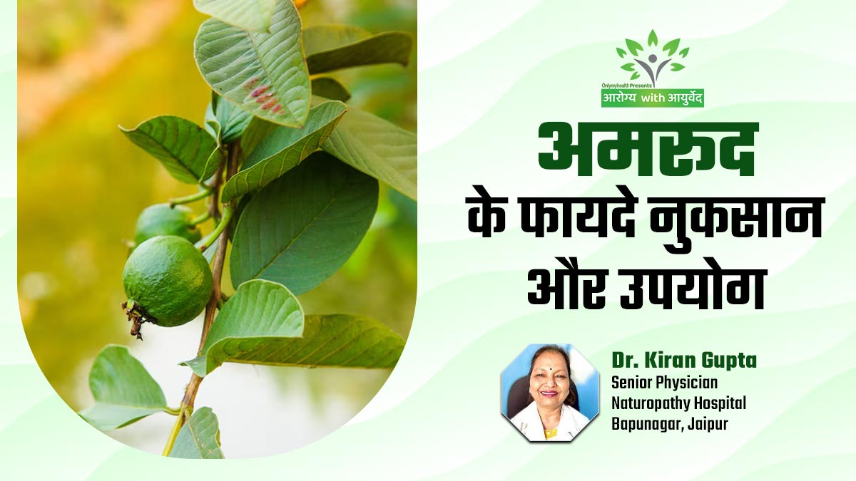 अमरूद की छाल से लेकर जड़ तक, आयुर्वेदाचार्य से जानें फायदे, नुकसान और सेवन का तरीका