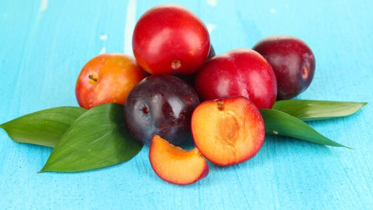 Can diabetic patients eat plums