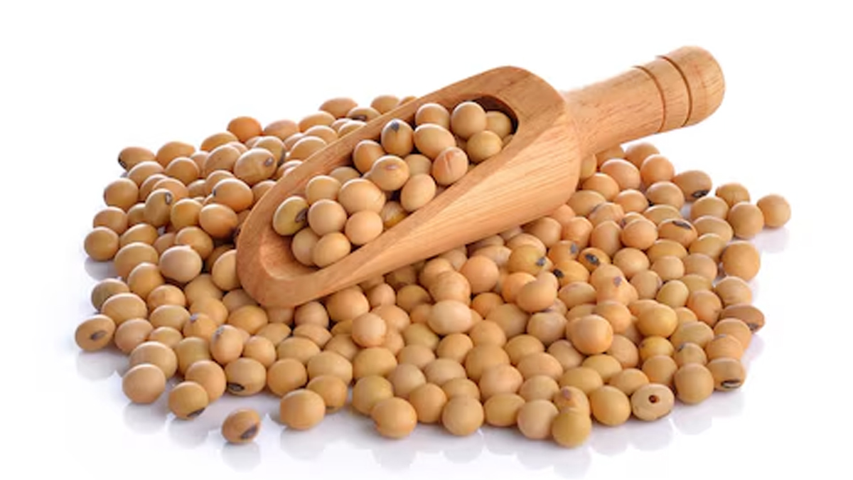 Is it safe to eat soyabean in diabetes in