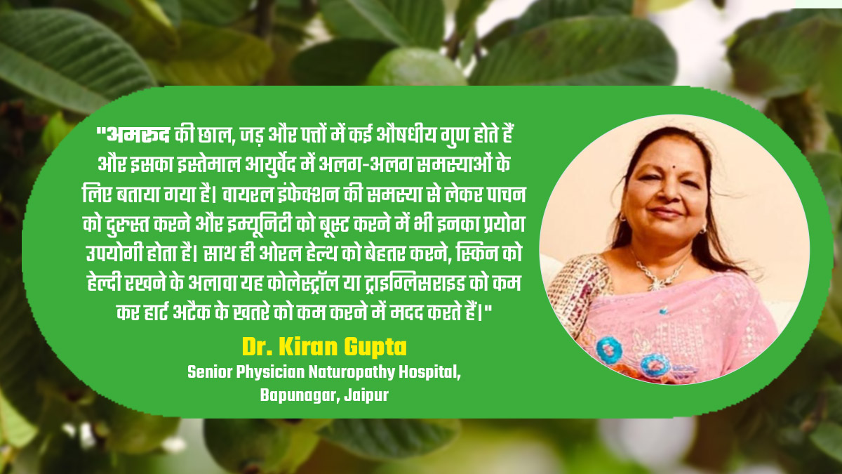 guava benefits side effects uses according to ayurveda in hindi mn