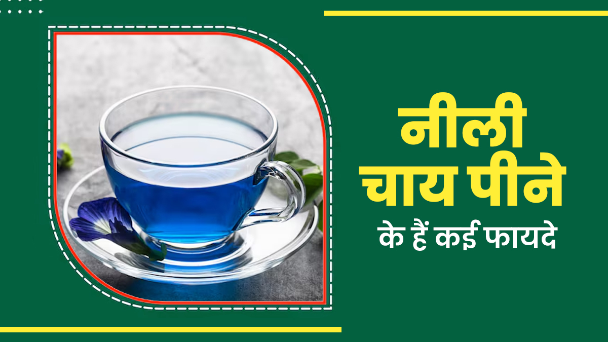 ग्रीन टी नहीं अब पिएं ब्लू टी, सेहत को मिलते हैं ढेरों फायदे, जानते हैं एक्सपर्ट से