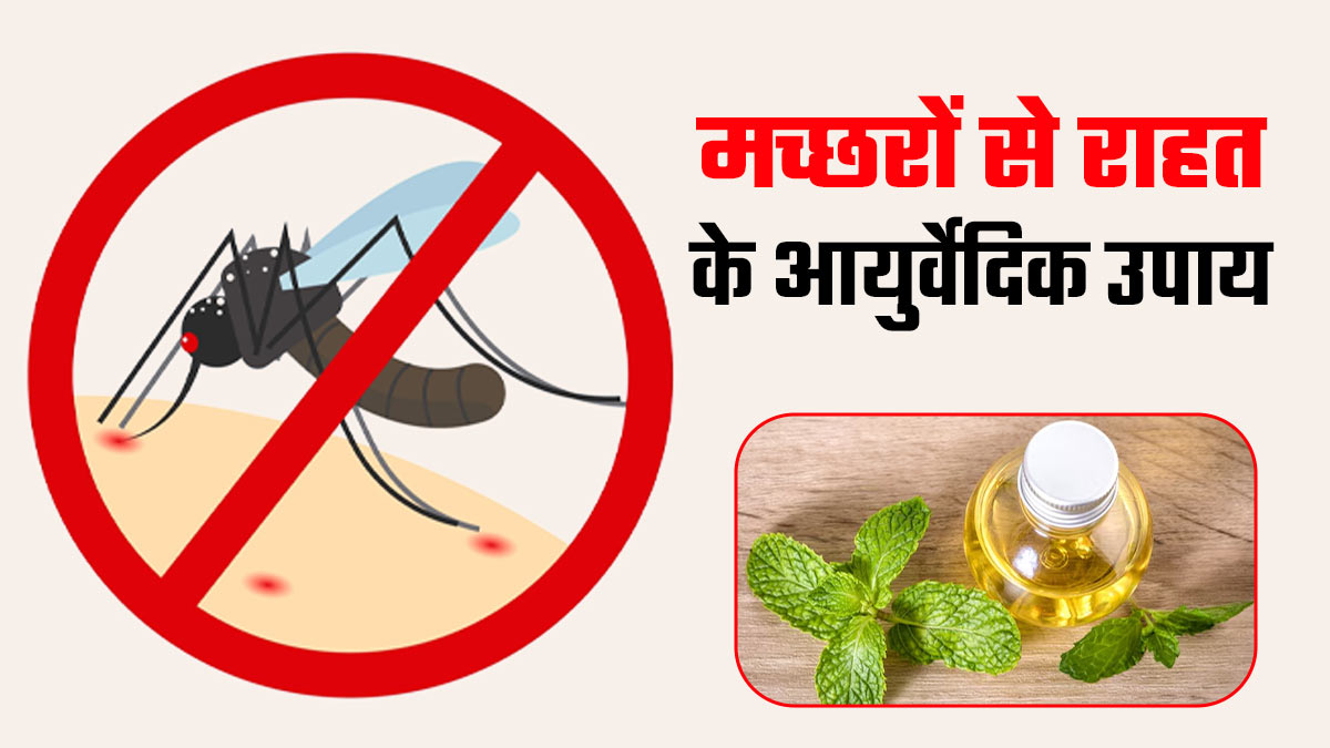 World Mosquito Day 2025: प्रेग्नेंसी में मच्छरों से सुरक्षित रहना है? ये 7 आयुर्वेदिक नुस्खे आजमाएं